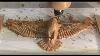 Cnc Router Making 12 500 Per Month Wood Carving An American Bald Eagle
