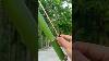 Outils De Bambou Très Dangereux: Expérience Satisfaisante De Verrouillage De L'artisanat Du Bambou En Bois Et Outils En Bois